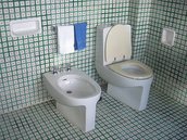 Bathroom Plumbing Clogged Toilet